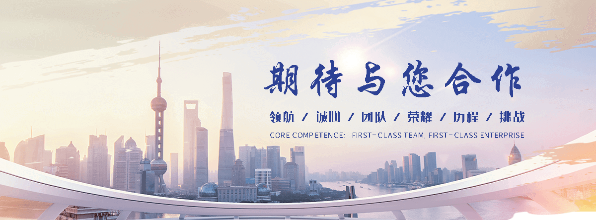 丽水海狮租赁公司